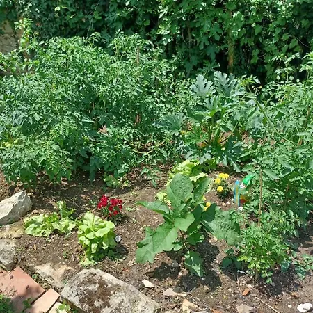 Nid Charentais Angouleme Pool Jacuzzi Сasa de vacaciones