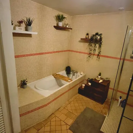Angouleme - Nid Charentais Pool Jacuzzi